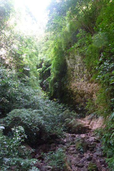 Ja, so sah der Weg!! zum Wasserfall aus