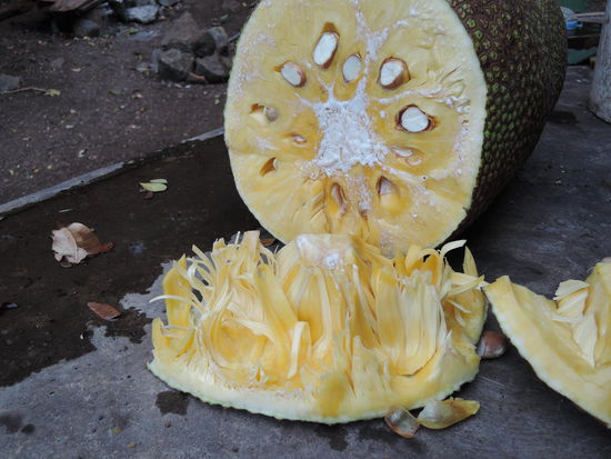 So schaut die Frucht von innen aus