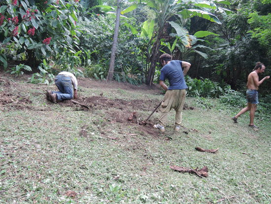 Neue Beete werden angelegt, der Vadim rettet mal wieder eine Vogelspinne