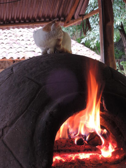 Die Luna auf dem Ofen