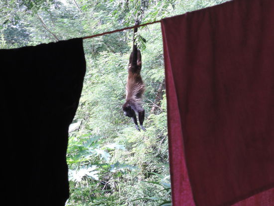 Die sind oft ganz nah am Schlafzimmer