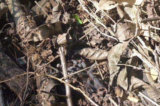 Die ist schon etwas groesser