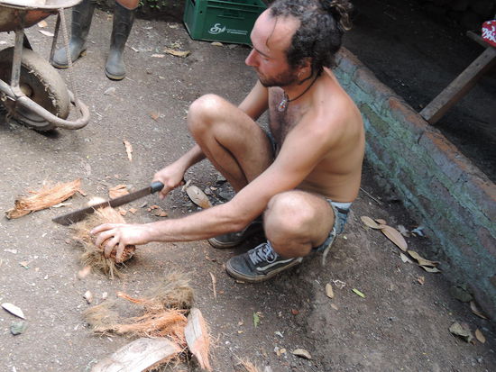 Der Vadim schlaegt erstmal die Kokosnuss aus unserem Garten auf...