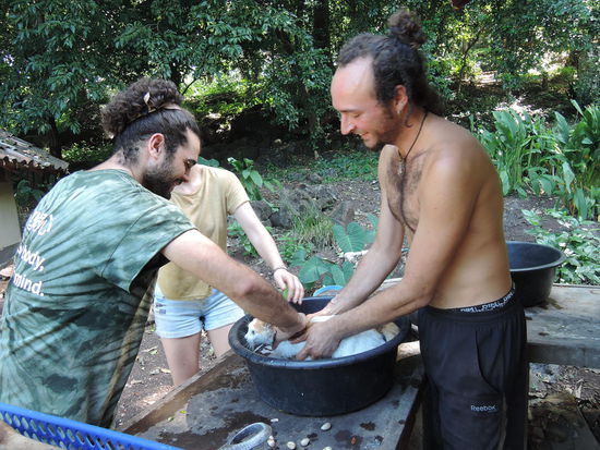 Luna bekommt eine Katzenwaesche