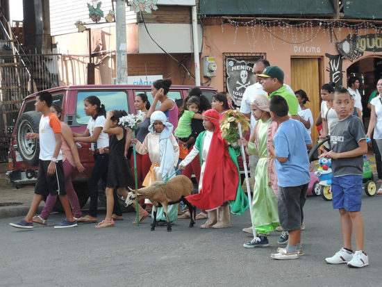 Die kleinen Koenige...
