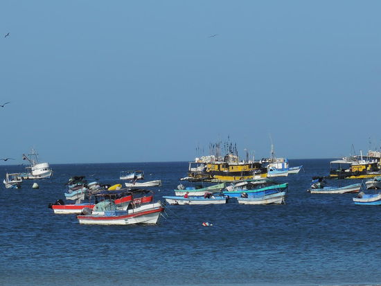 Fischerboote in der Frueh