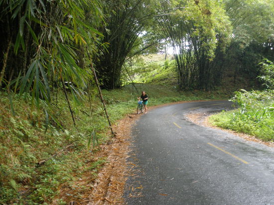 Zuerst geht es rauf...
