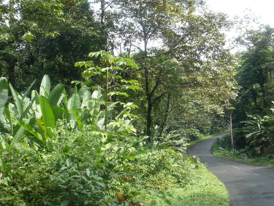 ...und dann wieder runter (da sollte die Kette nicht rausspringen)