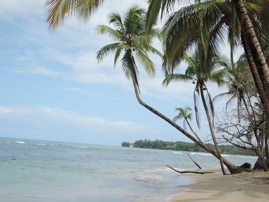 Hat sich schon gelohnt, die Plackerei