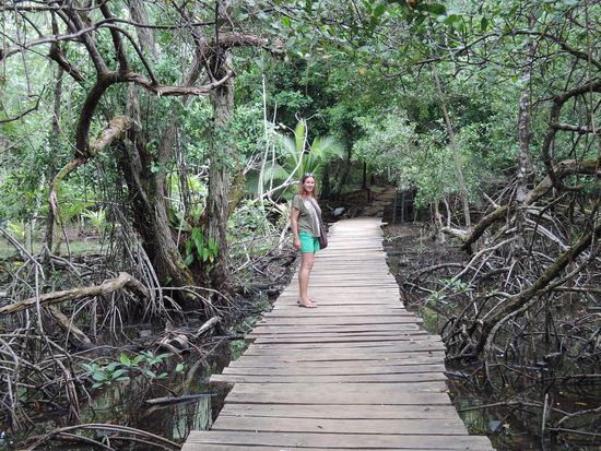 Auf dem Weg durch den Dschungel zum RedFrogBeach