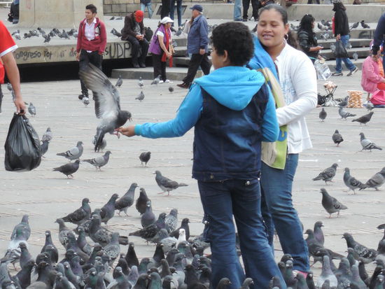 Am Platz Simon Bolivar