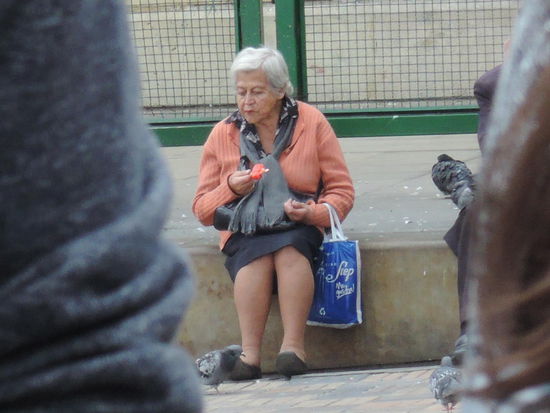 So werden die Tauben gefuettert