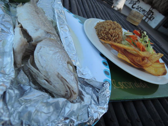 Fisch frisch gefangen