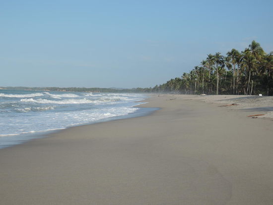 Strand in Palomino