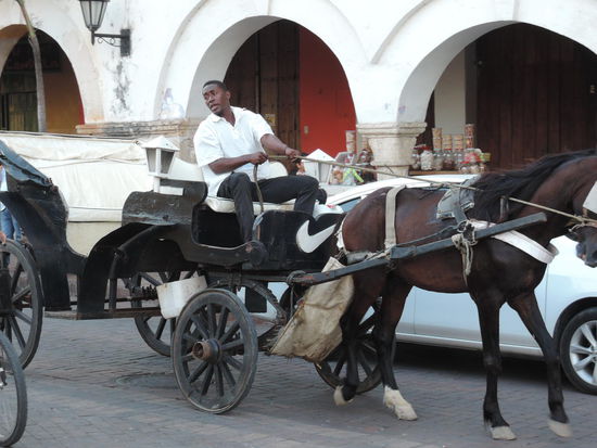 Jede Menge Kutschenfahrer in Cartagena