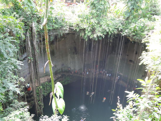 Cenote Ik Kil, wenn man von oben reinschaut