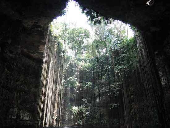 So sieht ein Cenote von unten aus: Unglaublich schoen!!