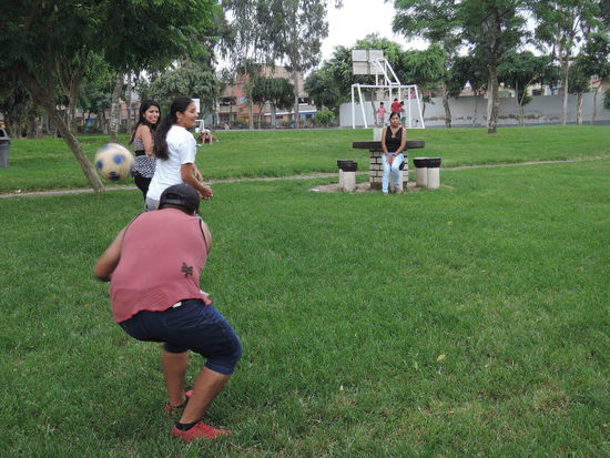 Das sind die neuen Lehrer