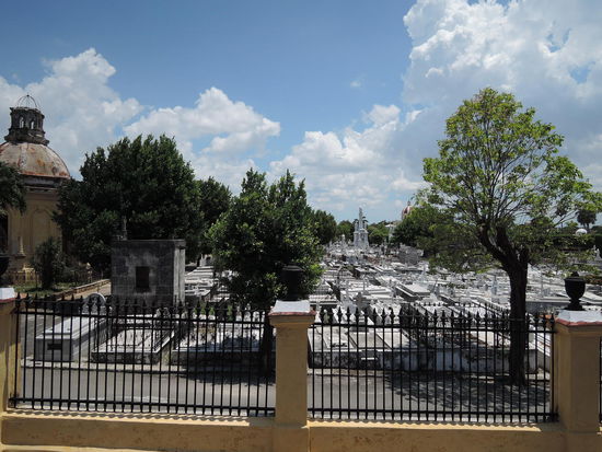 Friedhof von Havanna: riesig