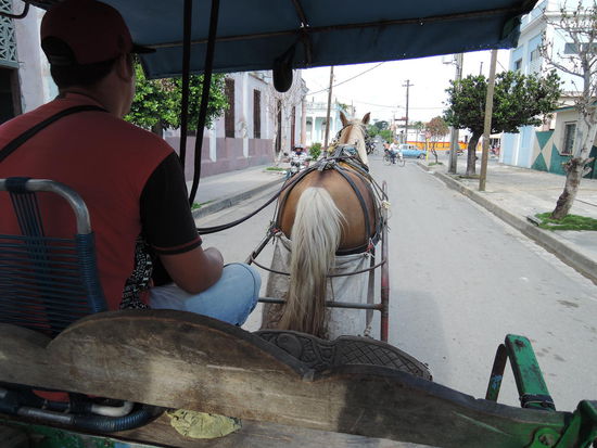 Mit der Kutsche durch die Stadt