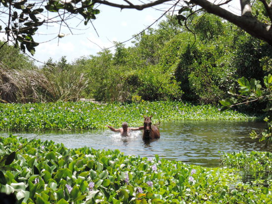 Der Alejandro genehmigt sich ein Bad im Fluss
