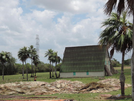 Auf dem Weg nach Vinales...