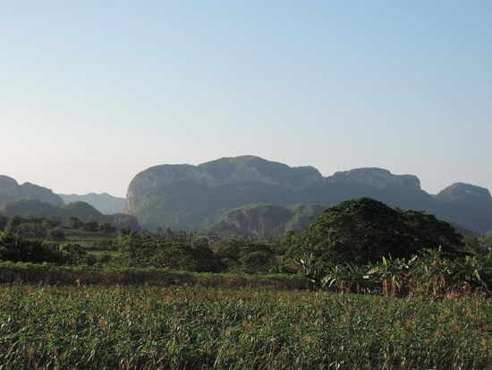 Die Aussicht von meiner Terasse