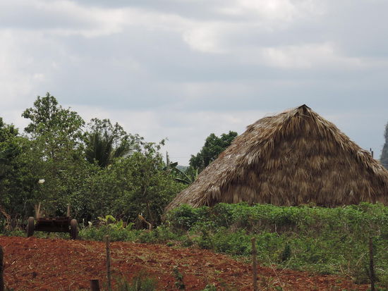 Trockenschuppen fuer den Tabak