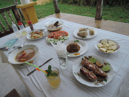  Der Fisch ist leider 2x gestorben