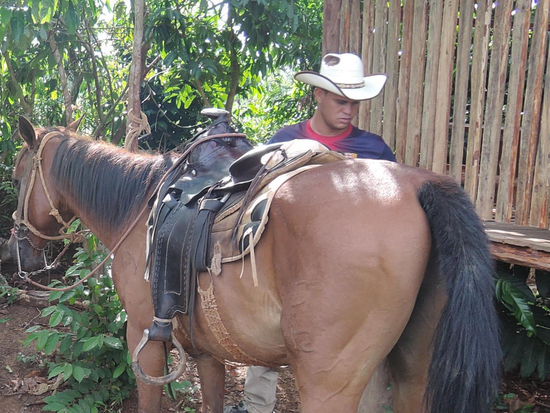 Luis: "El profesor de bailar Salsa"