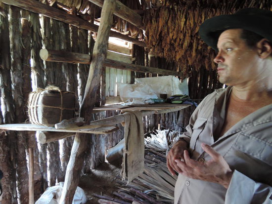 Der nette Tabakbauer erklaert die Tabakproduktion...