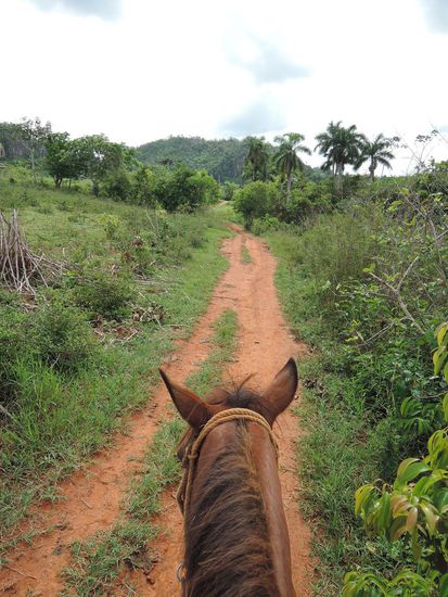 Und weiter geht es durch die Landschaft