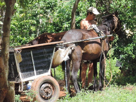 Der freundliche Cubano hat uns wieder zurueck in den Ort gebracht