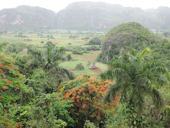 Ausblick vom Mirador des Hotels Los Jazmines ueber das Tal