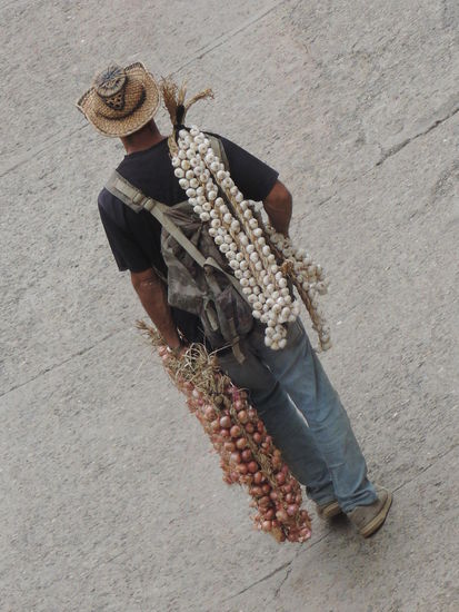 Zwiebel und Knoblauch...