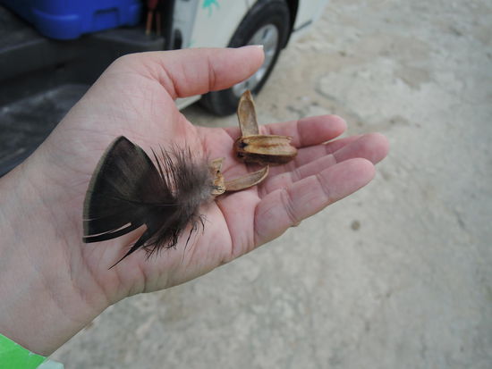 Geschenke von den Kiddies