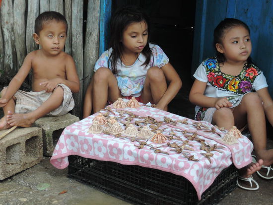 Geschaeftstuechtige kleine Mayas