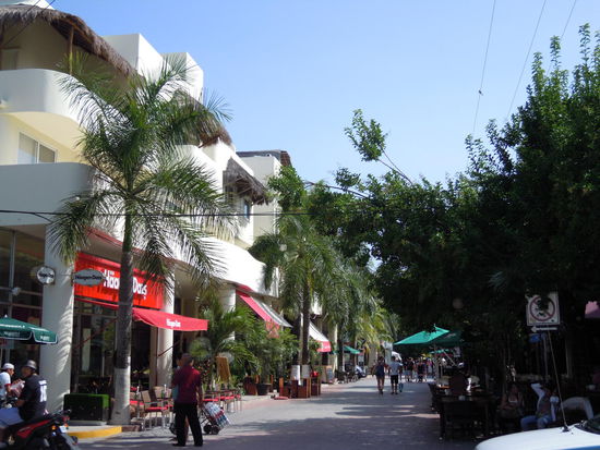 Die Avenida 5. Einkaufsmeile, Bars, Restaurants...