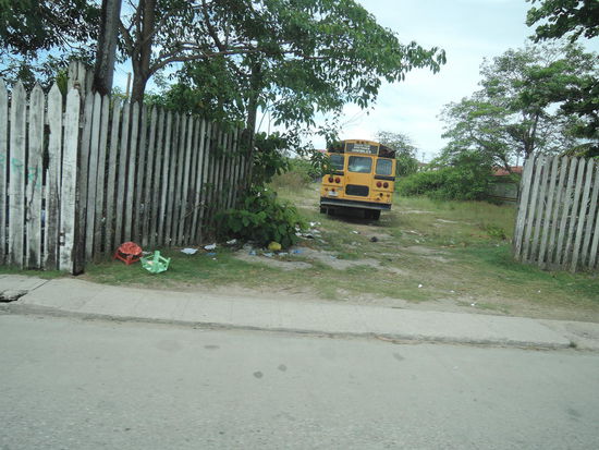 Die Busse in Belize