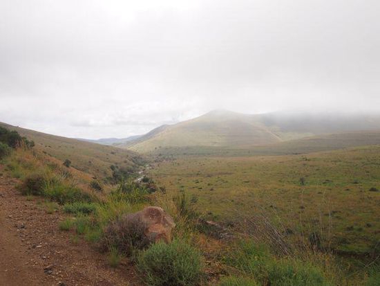 Mountain Zebra Park