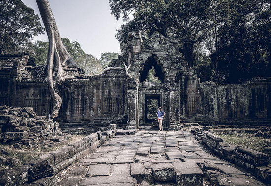 Tempelanlage Ta Prohm ist für ihren sonderbaren Baumbewuchs bekannt. Die Bäume wurden offenbar über Hunderte von Jahren in Ruhe gelassen und konnten sich so an den Fassaden hochschlängeln.