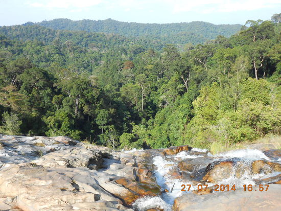 Aussicht auf unendlichen Wald. If I had wings I would fly away....