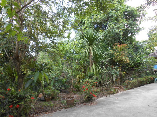 Garten meiner Gastfamilie