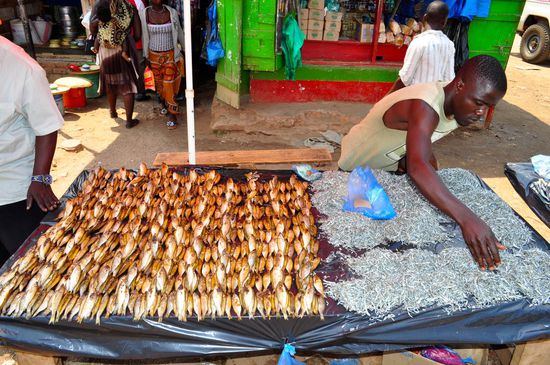 Getrockneter und gebratener Fisch in Nkhata Bay.