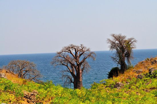 Auf unserem Rundgang über die Insel boten sich atemberaubende Ausblicke. Die Baobab-Bäume vor dem azurblauen Wasser des Sees werden unvergesslich in unser Gedächtnis eingebrannt bleiben.