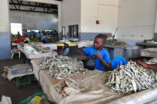 Auf dem Markt von Vilanculo. Getrockneter Fisch in allen Größen und Farben: hellbeige, dunkelbeige, alpina-, matt-, und metallic-weiß, grau usw.