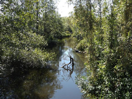 Lost Lagoon
Bella: I know what you are.
Edward: Say it. Out loud. Say it!
Bella: Vampire.
Edward: Are you afraid?
Bella: No.
Mitten im Stanley Park wurde diese Szene aus Twilight gedreht. Nicht umsonst wird Vancouver auch Hollywood North genannt.