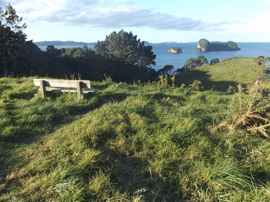 Auf dem Wanderweg zur Cathedral Cove