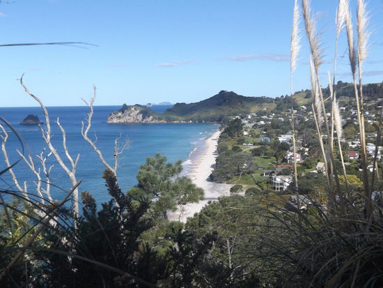 Hahei Beach und im Hintergrund das Reserve am anderen Ende des Strandes