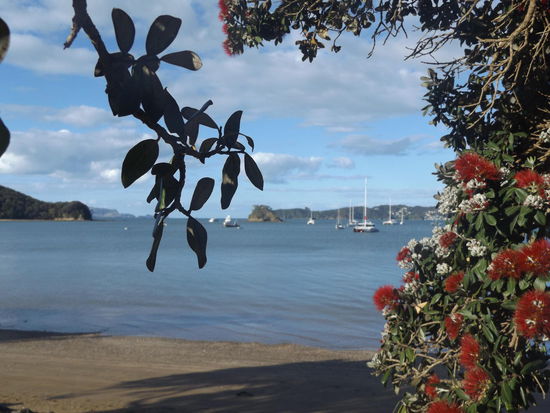 Taiputuputu Pahi Beach